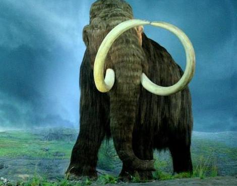 Woolly Mammoth logo