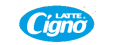 Cigno logo